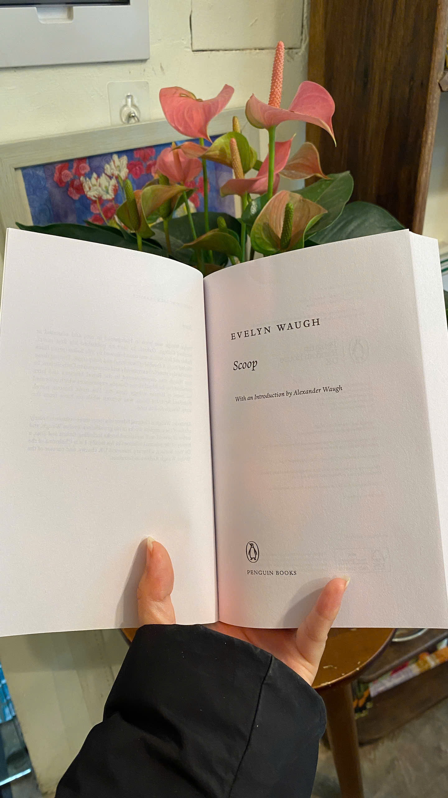 Sách - Scoop - Evelyn Waugh| Classics / Satire Fiction / Ngoại văn/ Tiểu thuyết trào phúng Nhập khẩu