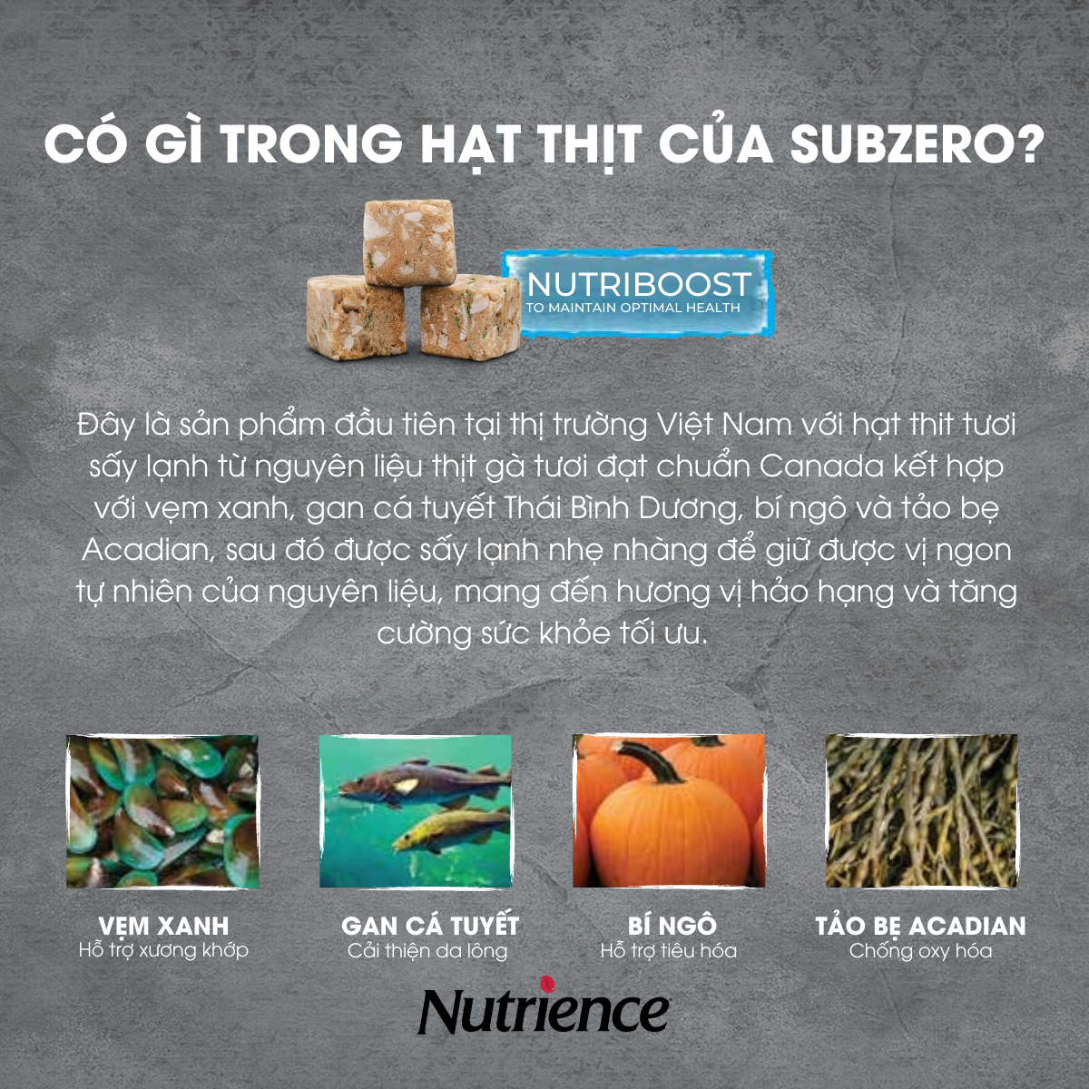 Thức Ăn Hạt Cho Chó Nutrience Subzero Grain-free - Thịt Gà Tây, Cá Hồi, Cá Đại Dương, Rau Củ Và Trái Cây Tự Nhiên