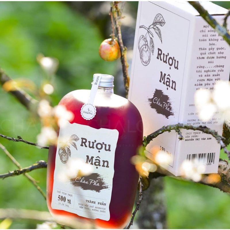 Chai dẹp bầu đựng cafe, nước ép 250-500ml
