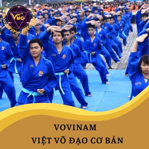 Khóa Học Video Online VOVINAM – Việt Võ Đạo Cơ Bản - Trung Tâm Chăm Sóc Sức Khỏe VMC