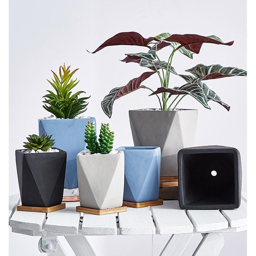 Succulent Plant Pots Cactus Planters, Flower Pots with Tray