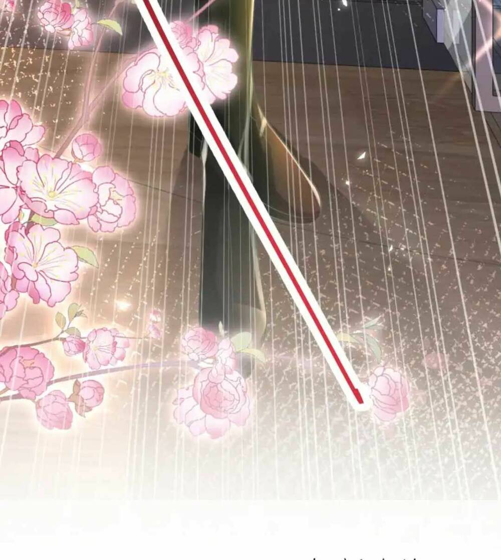 vợ tôi là boss ngầm đầy quyền lực chapter 20 37