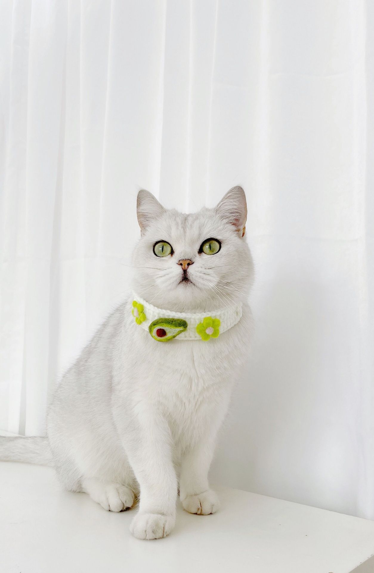 Vòng cổ len cao cấp cho chó mèo - Genyo Collar 062