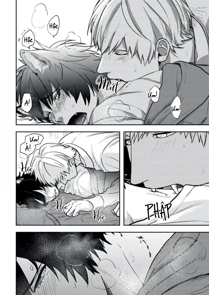 mật ngọt dã thú chapter 2 25