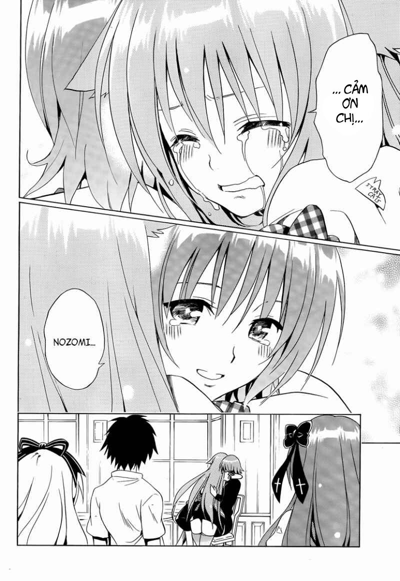 mayoi neko overrun! chapter 8 38