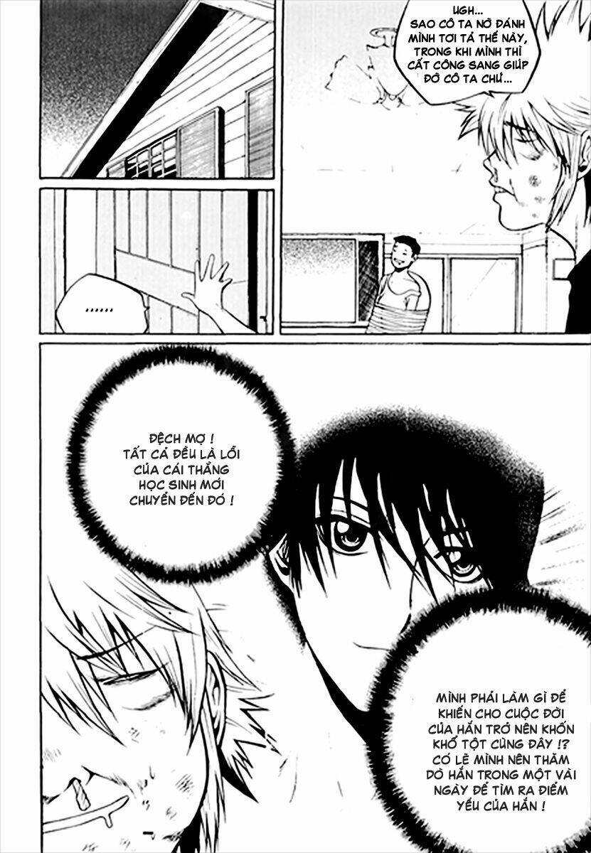 zippy ziggy chapter 40 12