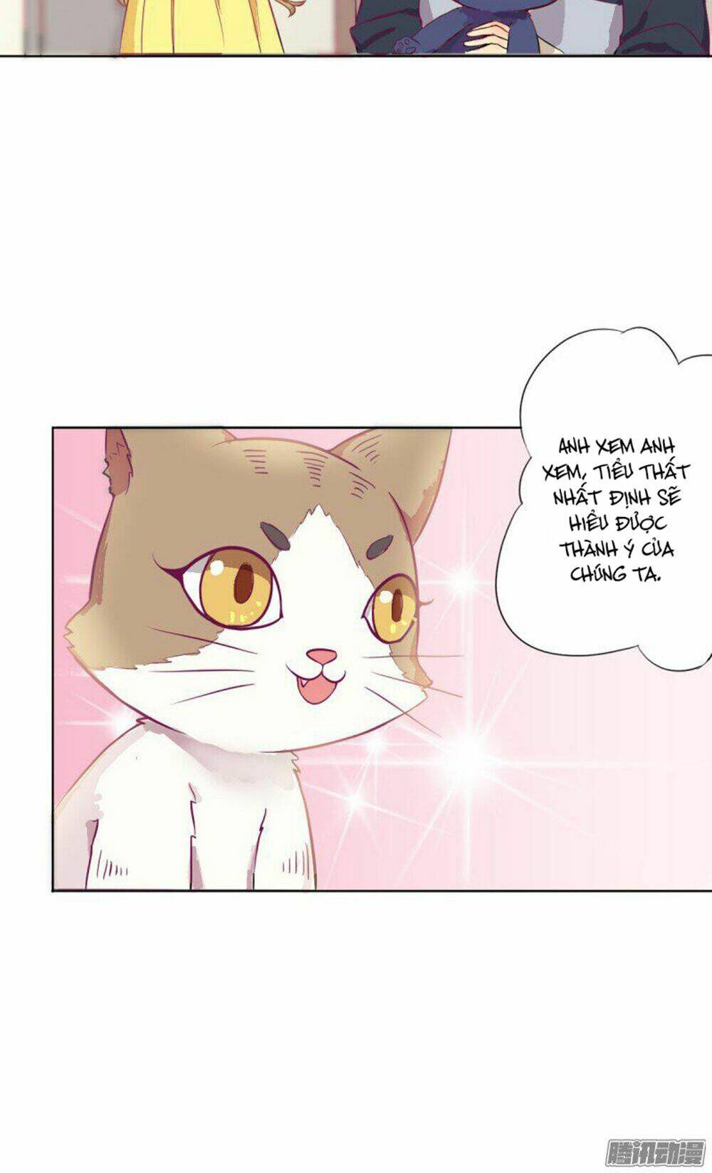 hai chú mèo totem chapter 2 15