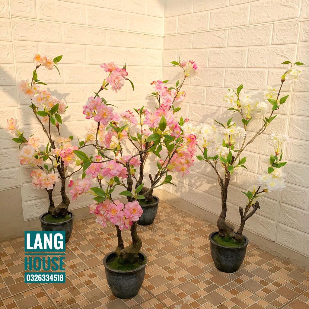 Hoa Giả Hoa Lụa - CHẬU HOA ĐÀO GIẢ CAO 70CM (KÈM CẢ CHẬU)