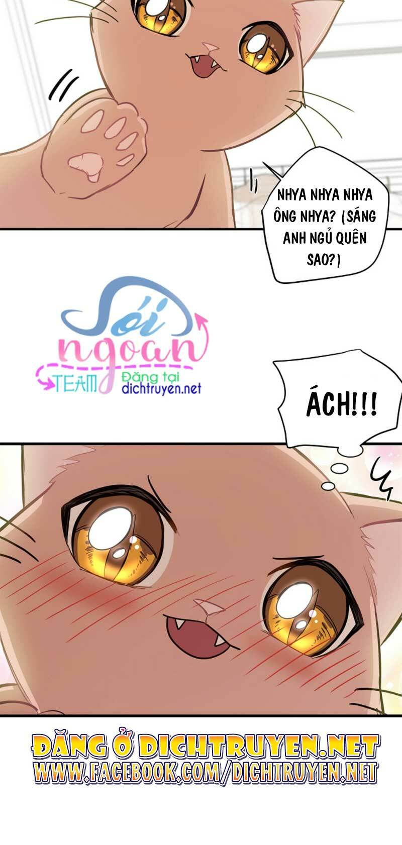 cuộc sống kỳ thú chapter 8 47