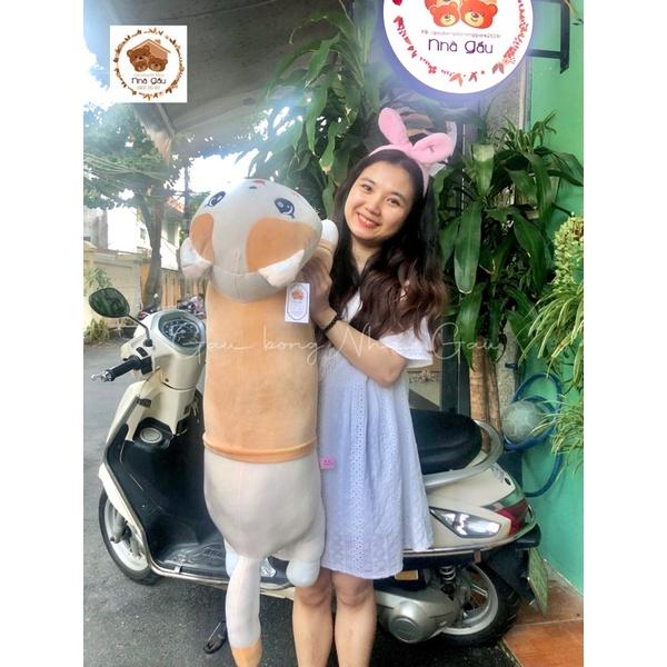 Gấu bông ôm dài mèo Miso Kute vàng cao cấp, cực mịn
