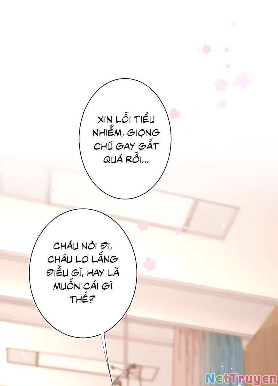 đừng khóc chapter 89 33