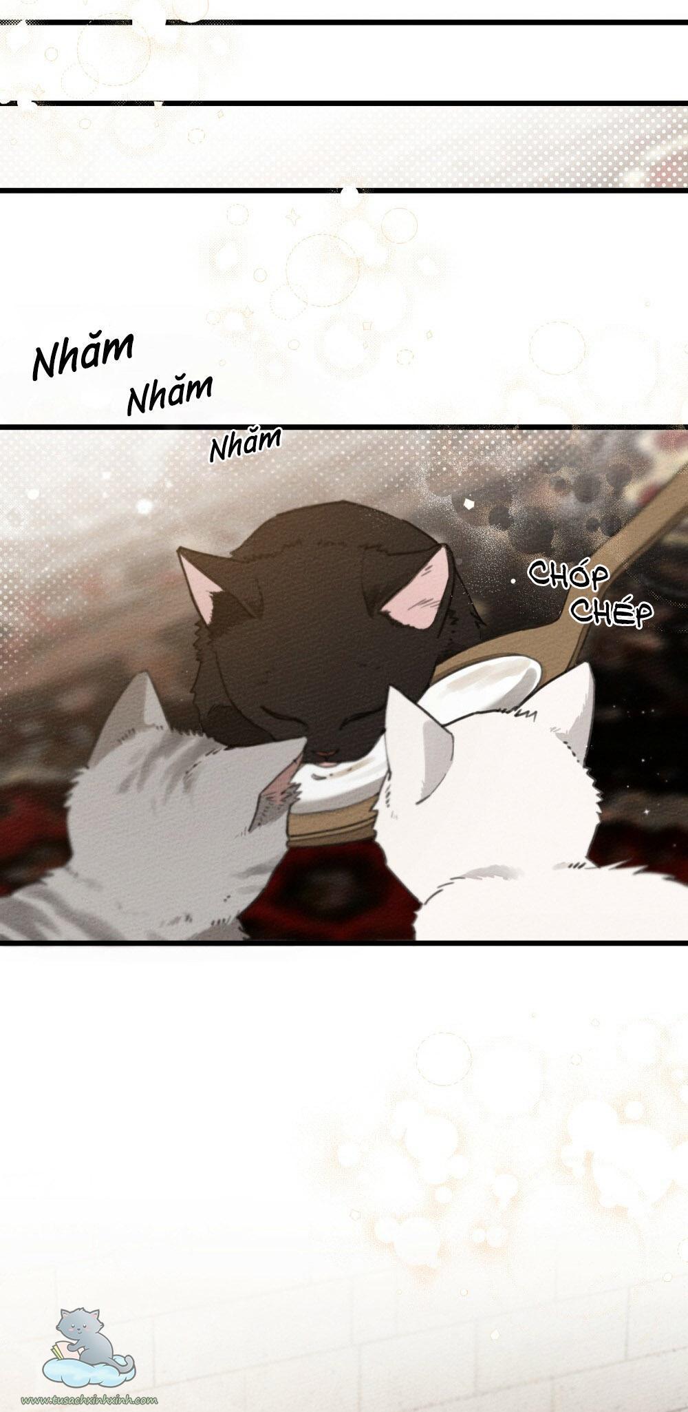 dưới tán cây sồi chapter 46 47