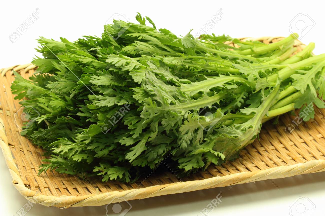 20 gam hạt giống cây rau Tần Ô