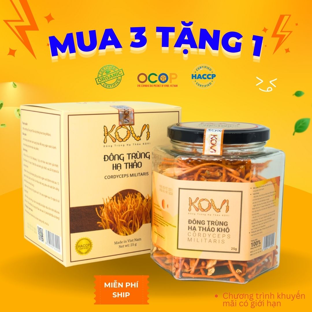 [Mua 3 tặng 1] Đông trùng hạ thảo KOVI khô sấy thăng hoa 25g | Combo ưu đãi