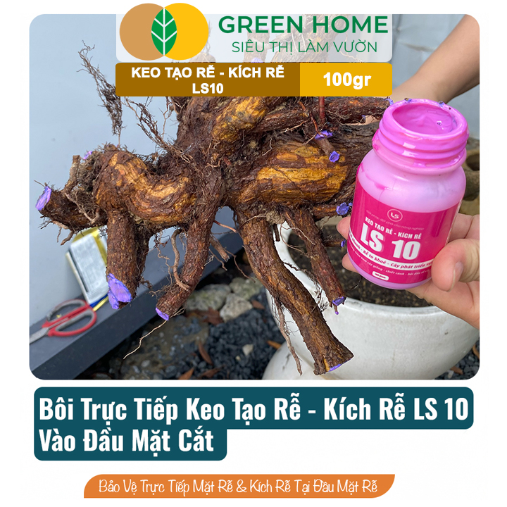 Keo Tạo Rễ Kích Rễ LS10 GreenHome, 100g – Ra Rễ Nhanh, Rễ Trắng Khỏe - Giâm Hom, Chiết Cành, Bonsai