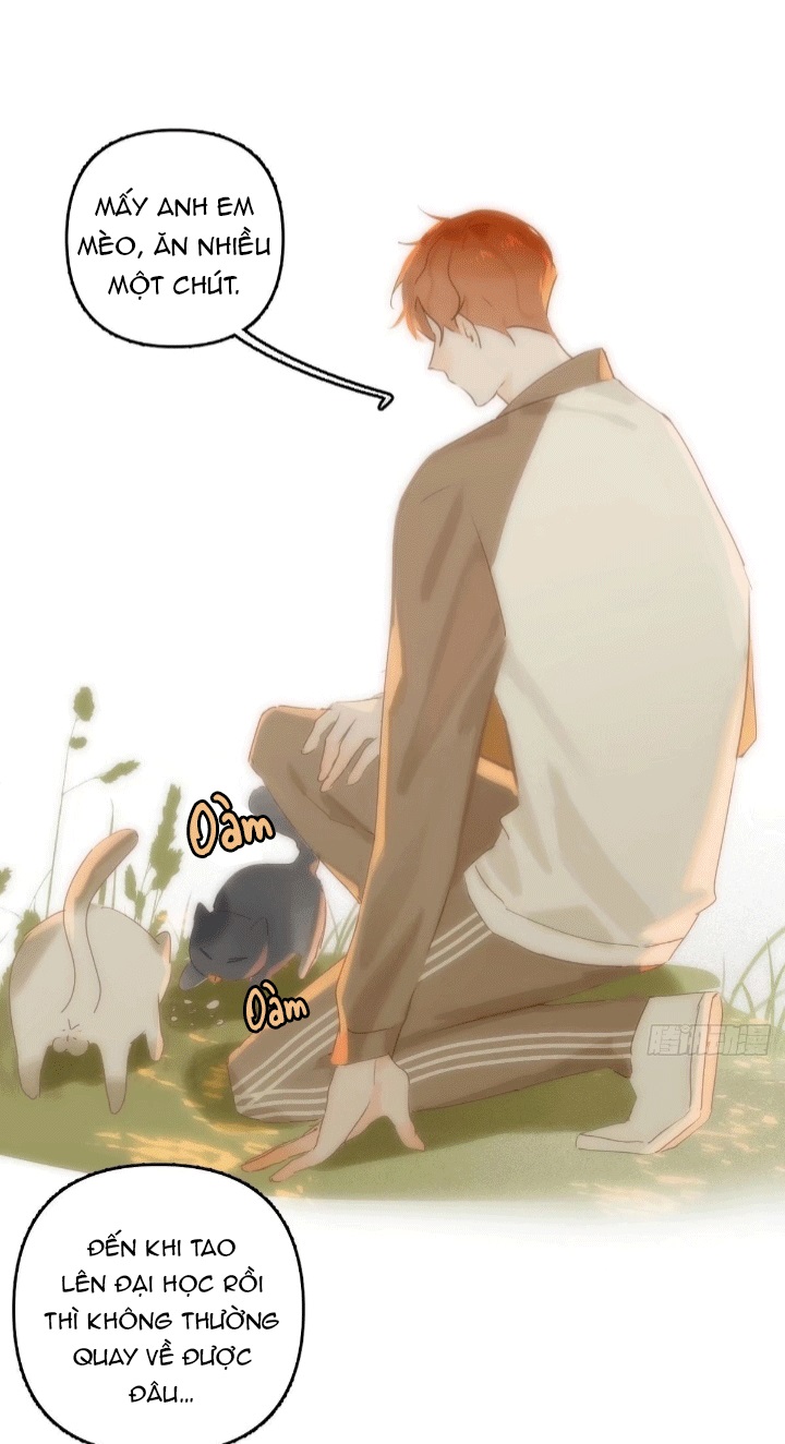 đêm đầy sao nói với em chapter 17 5