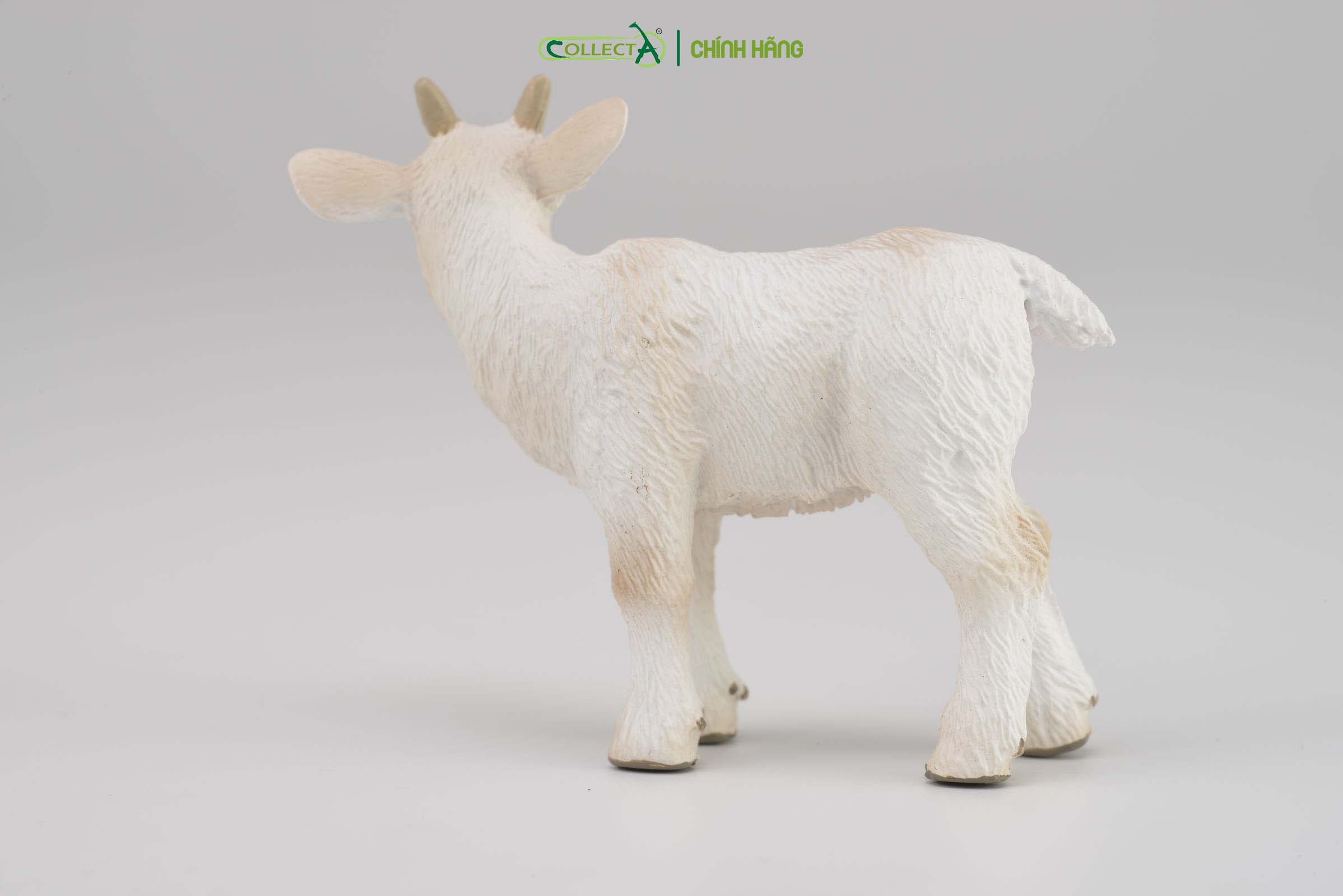 Mô hình thu nhỏ: Dê con - Goat Kid - Standing, hiệu: CollectA, mã HS 9650151[88786] -  Chất liệu an toàn cho trẻ - Hàng chính hãng