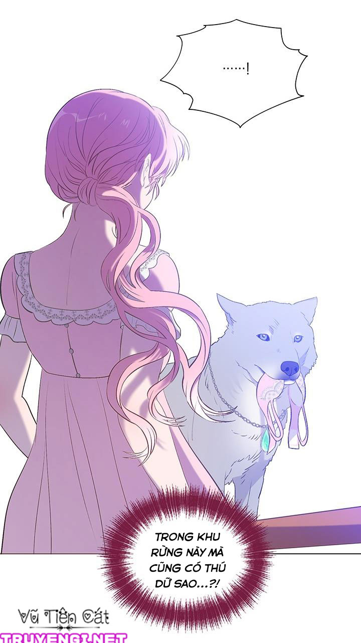 elizabeth chapter 8 47