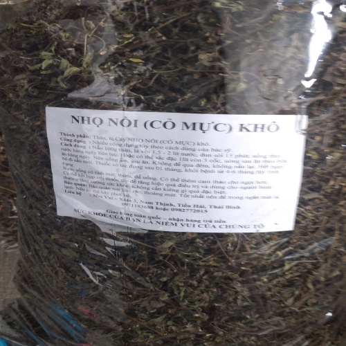 Cây nhọ nồi cỏ mực hàng xanh đẹp. Combo 2kg. Lh 097 118 36 88