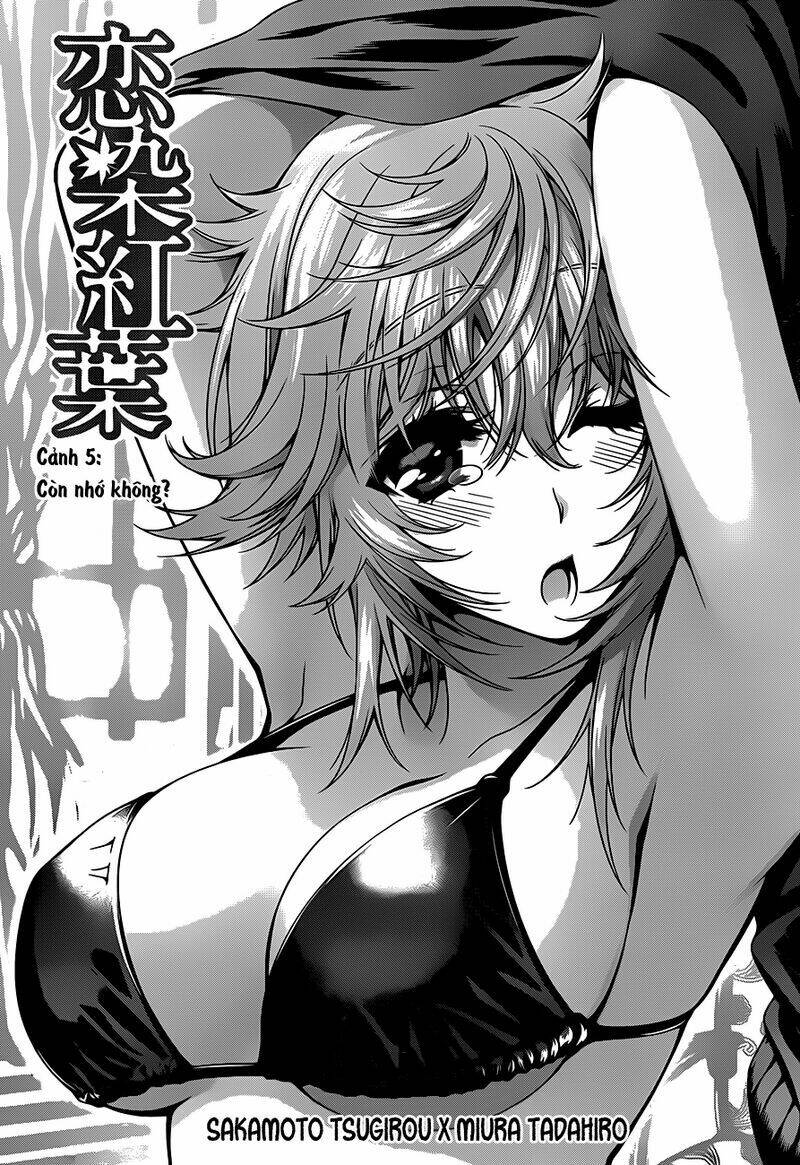 koisome momiji chapter 5 5