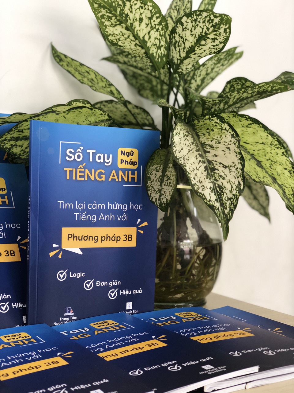 Sổ Tay Ngữ Pháp Tiếng Anh