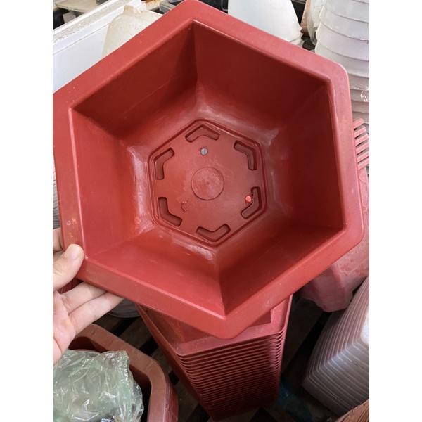 Chậu nhựa lục giác đỏ khắc chữ dày đẹp