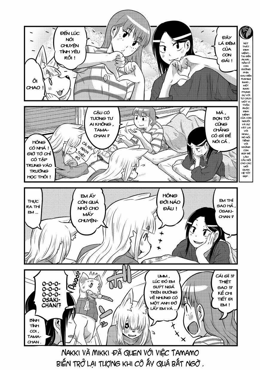 high school inari tamamo-chan ! chapter 19 7