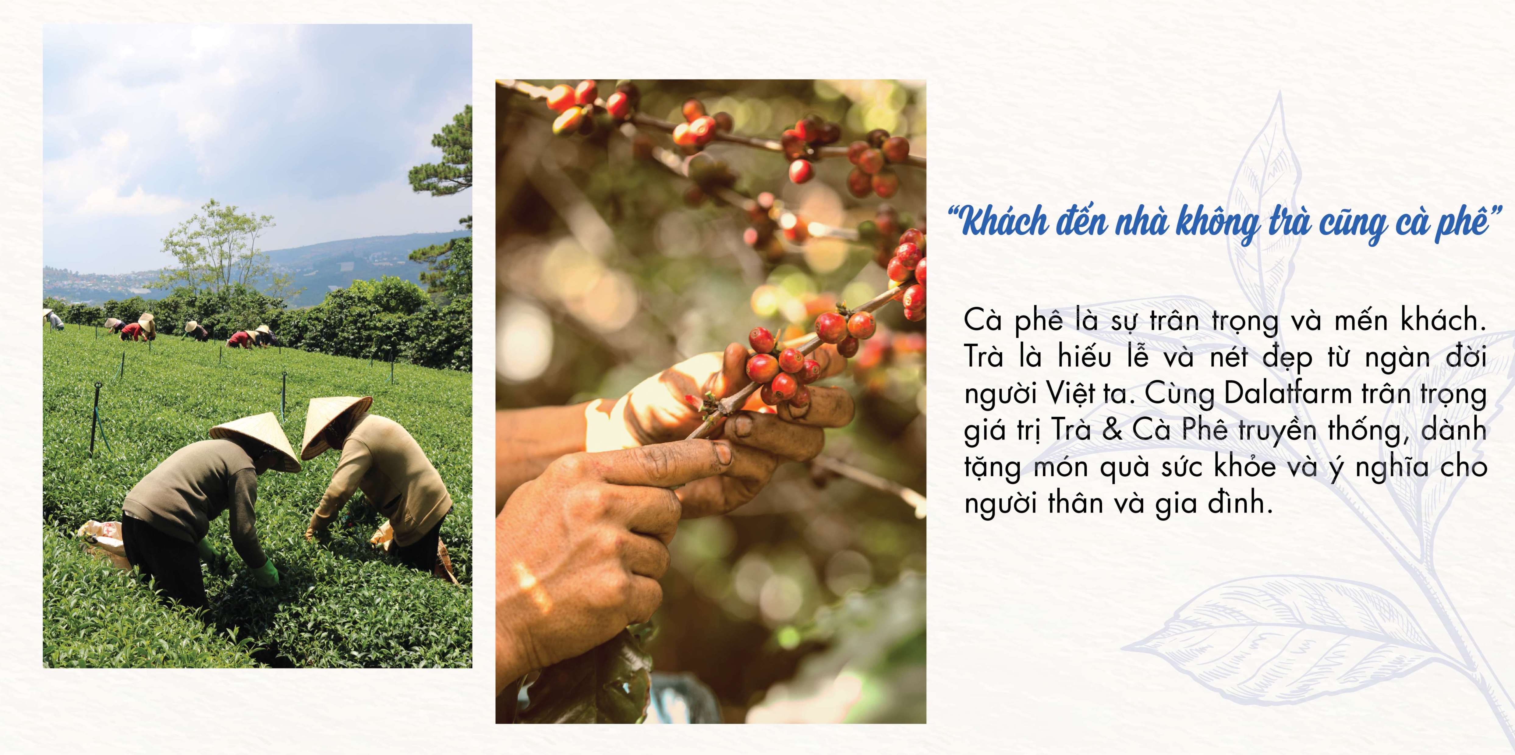 Hộp Quà Tết Vinh Hoa (Trà Oolong - Trà Sen - Cà Phê Arabica)