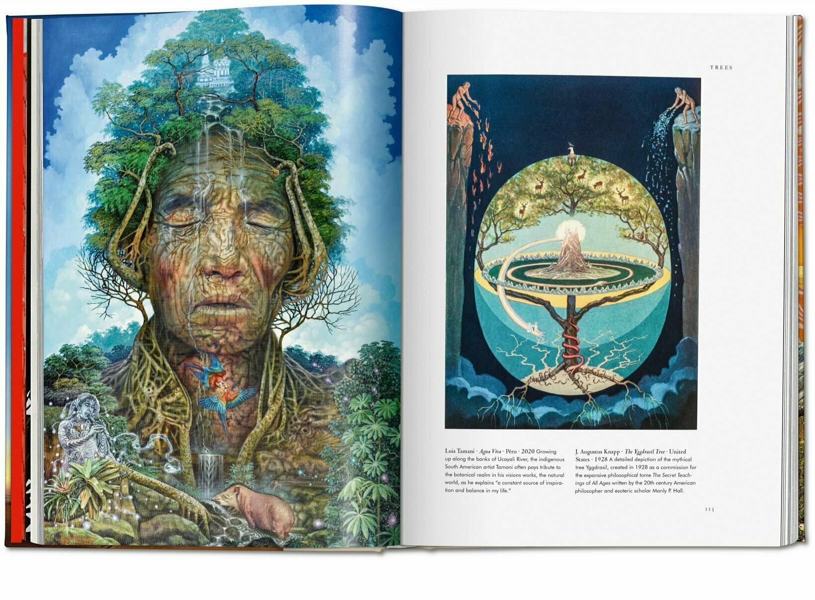 Artbook - Sách Tiếng Anh - Plant Magick. The Library of Esoterica