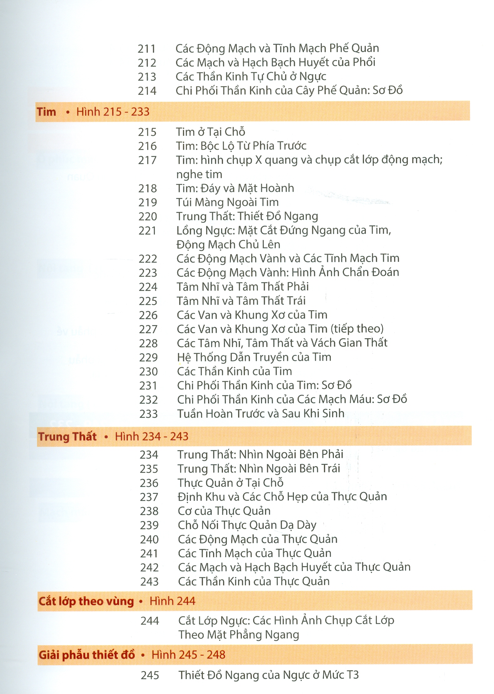 ATLAS GIẢI PHẪU NGƯỜI - In Lần Thứ IV (năm 2022) Theo Ấn Phẩm Lần Thứ VII Của Nxb Elsevier Có Sửa Chữa Và Bổ Sung (ATLAS OF HUMAN ANATOMY  Seventh Edition)