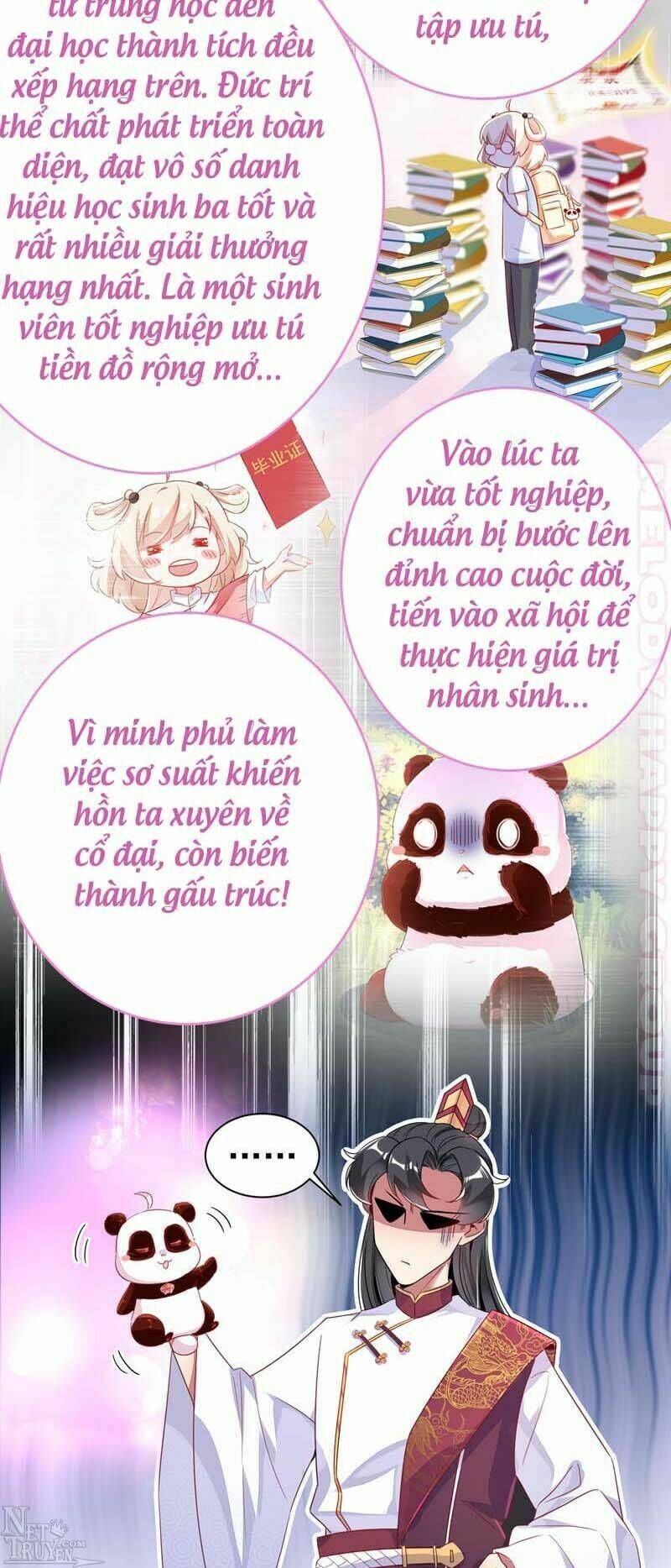 thiên thần gấu trúc muốn được ôm chapter 55 17