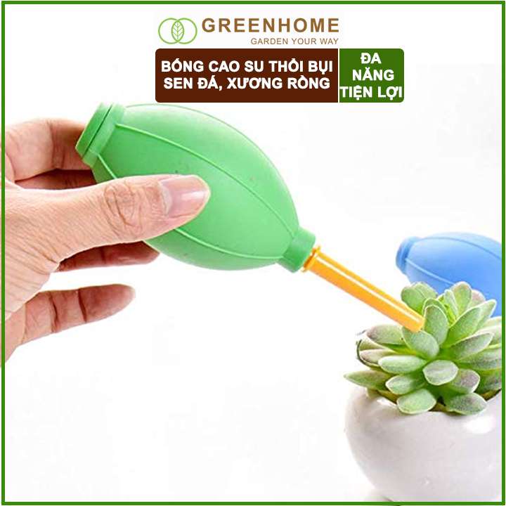 Bóng Cao Su Thổi Bụi GreenHome, D15xr5cm, Dụng Cụ Làm Vườn, Làm Sạch Cây Sen Đá, Bonsai, Màu Sắc Ngẫu Nhiên
