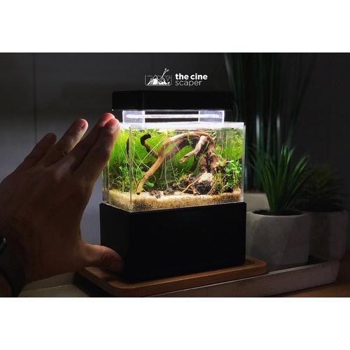 Bể cá siêu mini - Cunzo Mini Plastic Fish Tank
