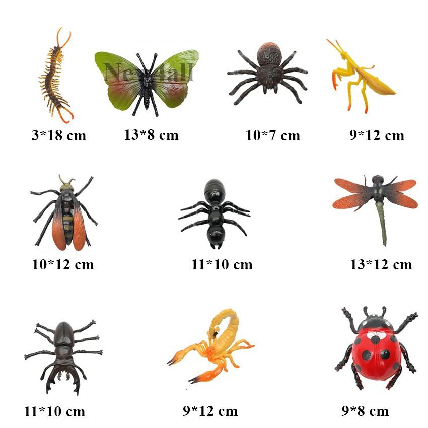 Đồ chơi 10 mô hình Côn Trùng Safari New4all Animal World size lớn 9-17 cm cho bé 3 tuổi học hỏi và phát triển trí não