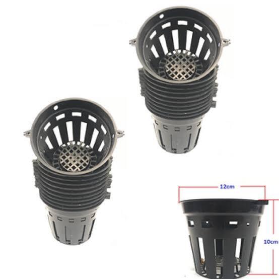 Set 20 chậu trồng lan phi 12