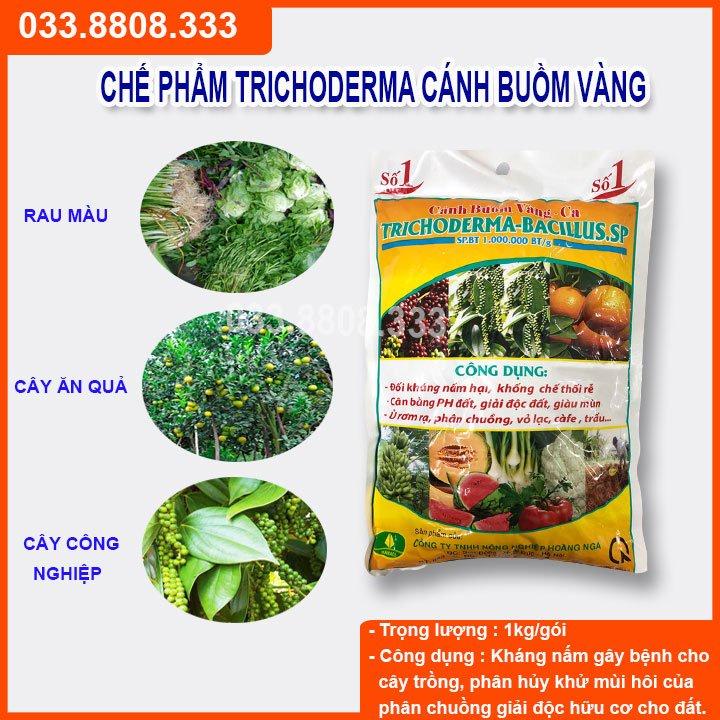 Trichoderma 1kg - chế phẩm hữu cơ diệt nấm đối kháng, tăng hiệu lực đối kháng cho cây trồng