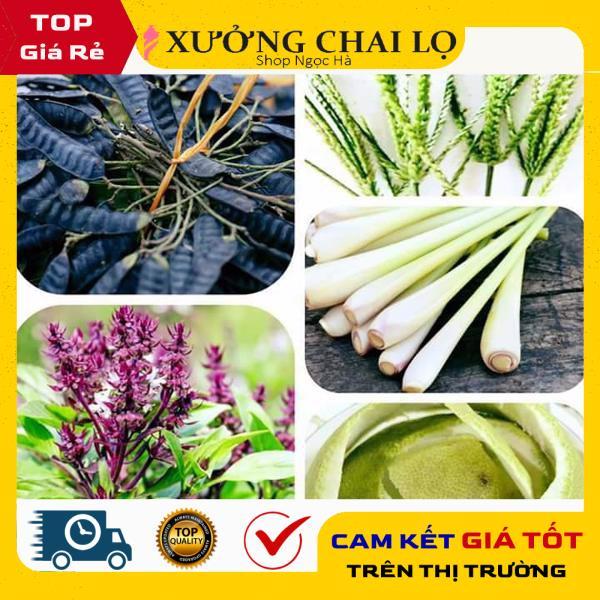 Trái bồ kết khô dùng gội đầu, xông phòng hàng mới đẹp