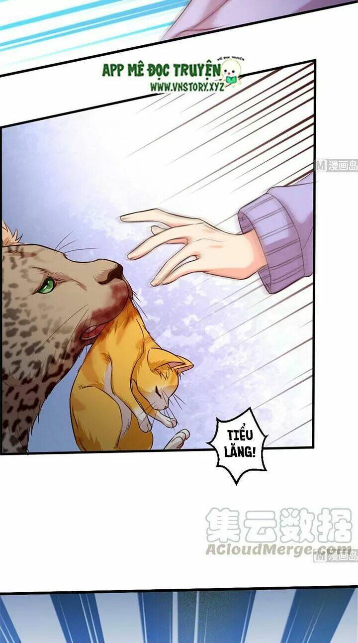 thiên hậu trở về chapter 187 5