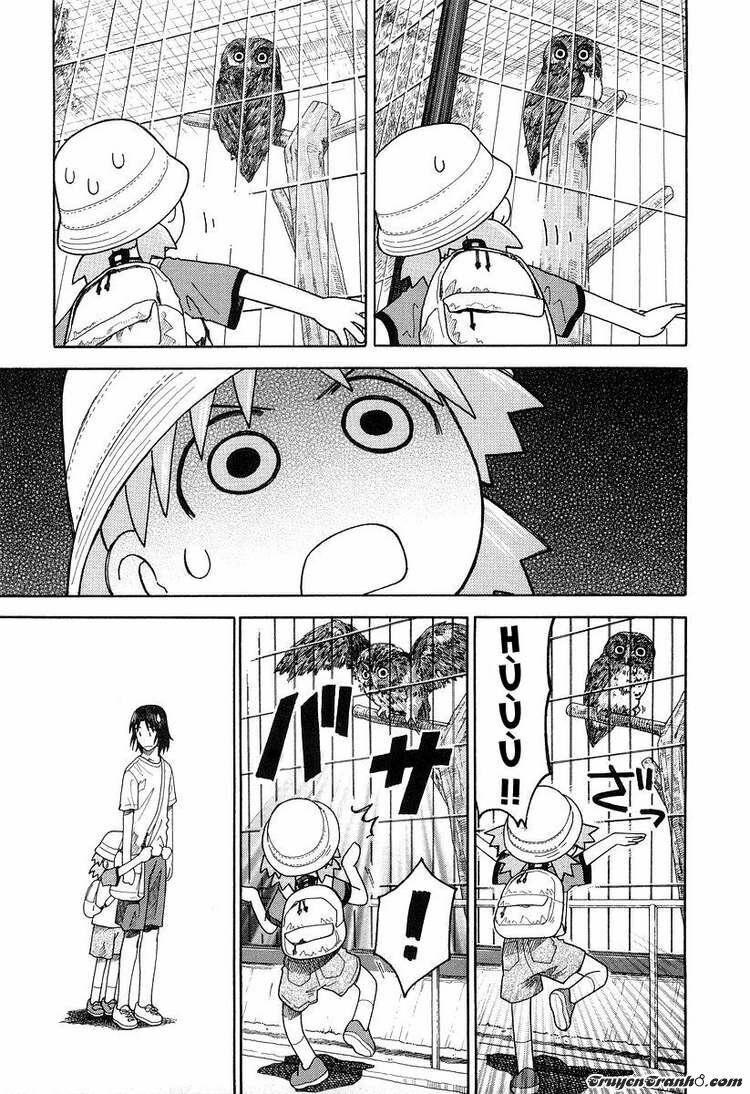 yotsubato! chapter 19 17