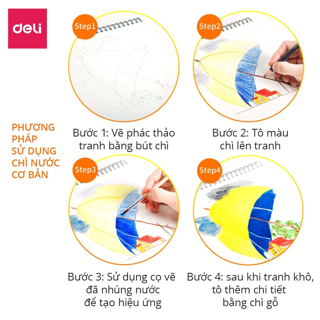 Bút chì màu cao cấp Deli dạng cốc - 24 màu/36 màu/72 màu - 68100/68101/68114