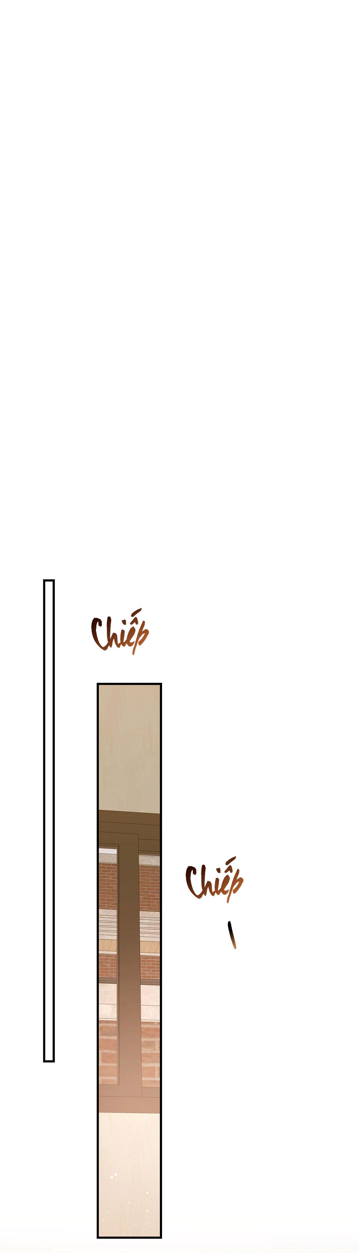 hổ trở về chapter 21 1