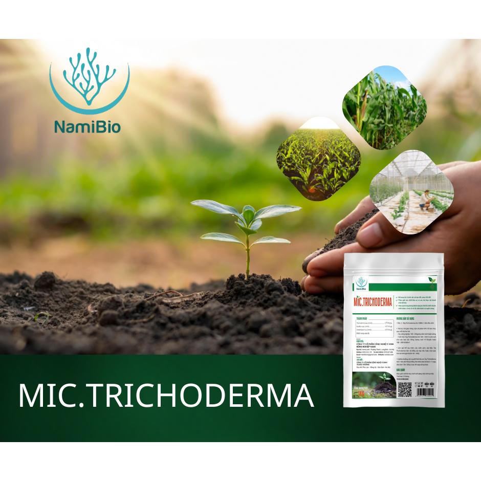 Men vi sinh nấm TRICHODERMA dùng ủ phân và xử lý đất