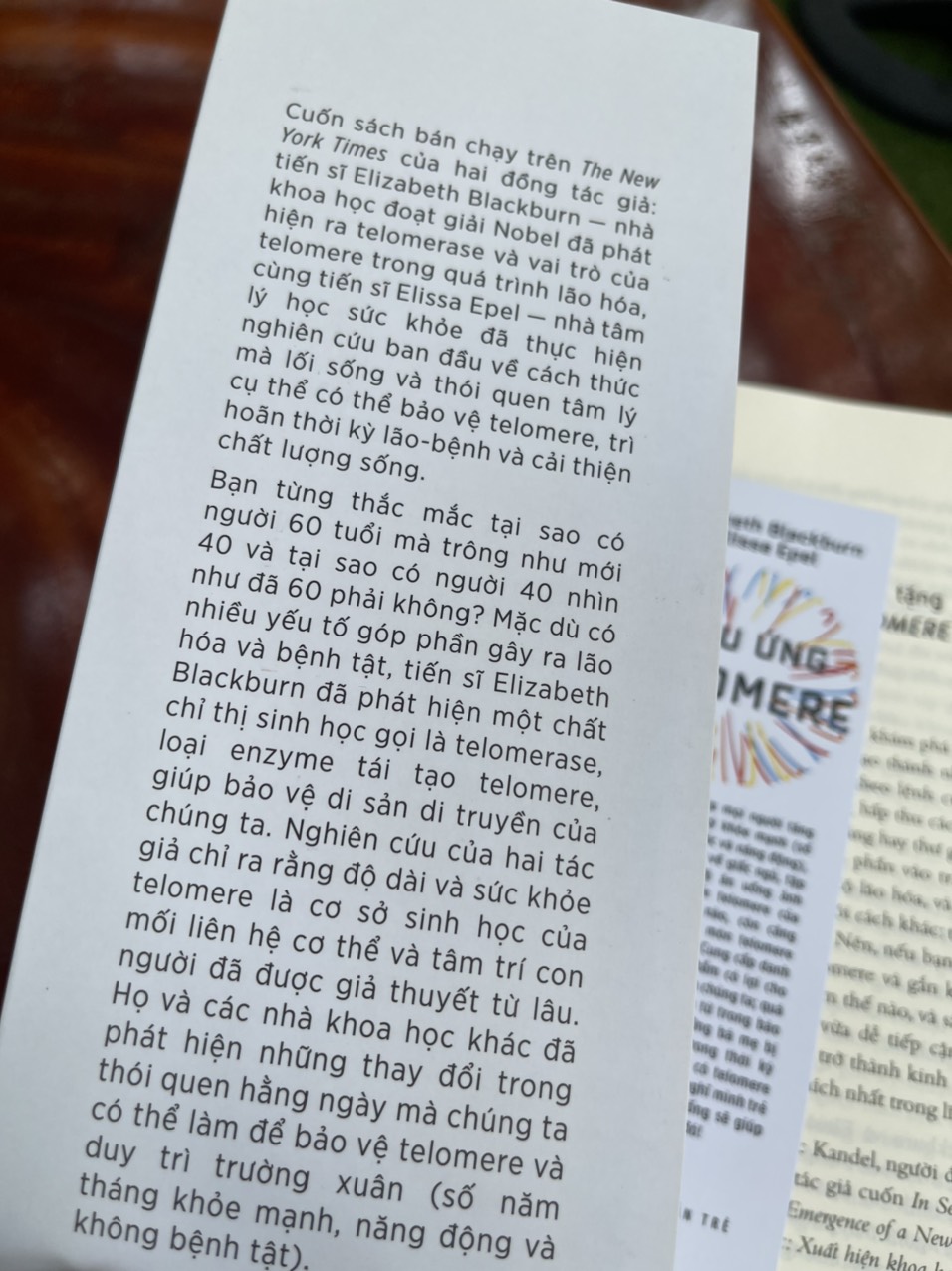 (Nhà khoa học đạt giải Nobel) - (New York Times - best-seller) HIỆU ỨNG TELOMERE - Giải Pháp Đột Phá Để Sống Trẻ, Khỏe Và Ngăn Ngừa Lão Hóa – Elizabeth Blackburn - Elissa Epel - Nguyễn Thị Kim Diệu dịch – Nhà xuất bản Trẻ (sách mới 2022) (bìa mềm)