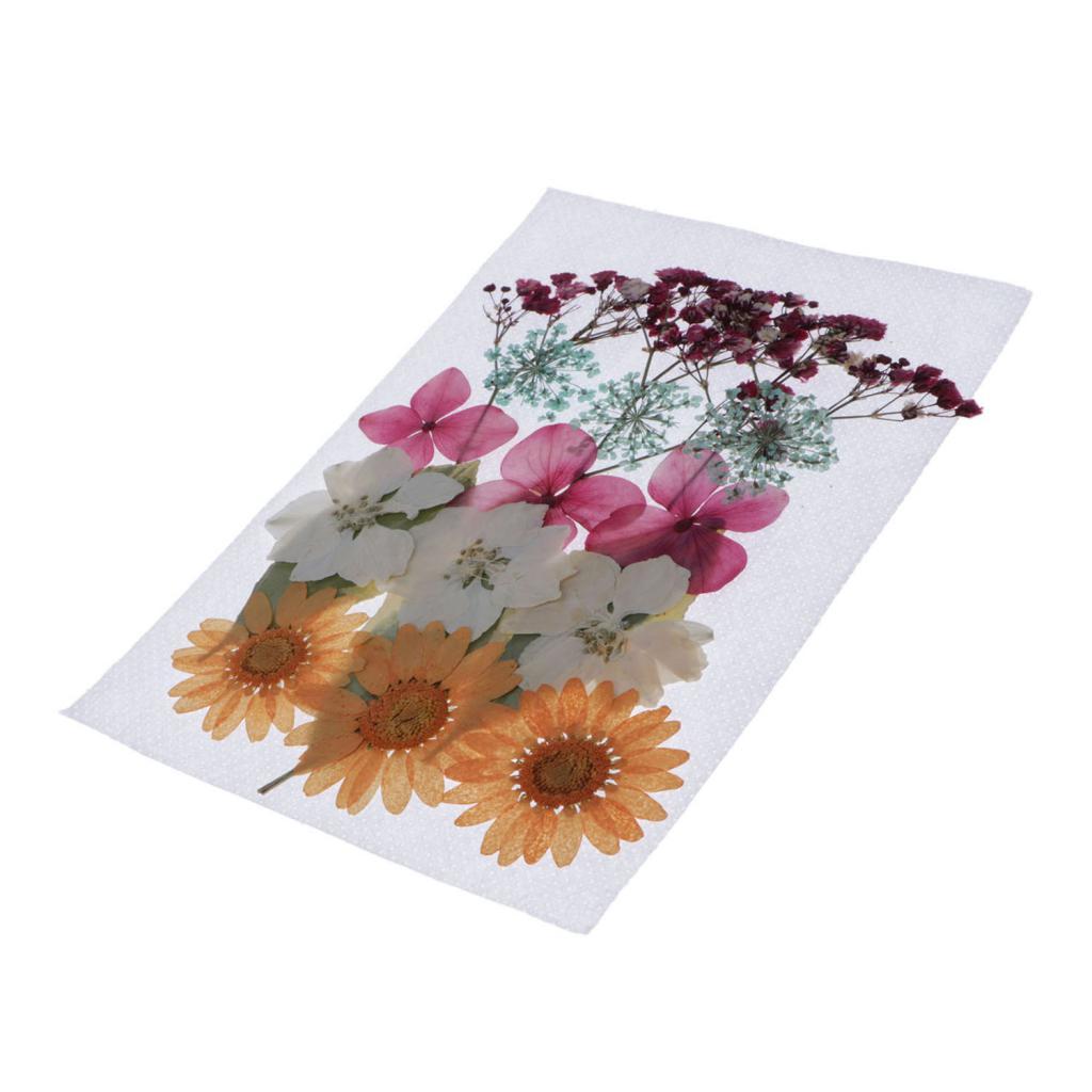 1 Bag Of Real Dried Pressed Flowers Leaves Assorted Colors for Making Greeting Card and Crafts, 2 - 3cm