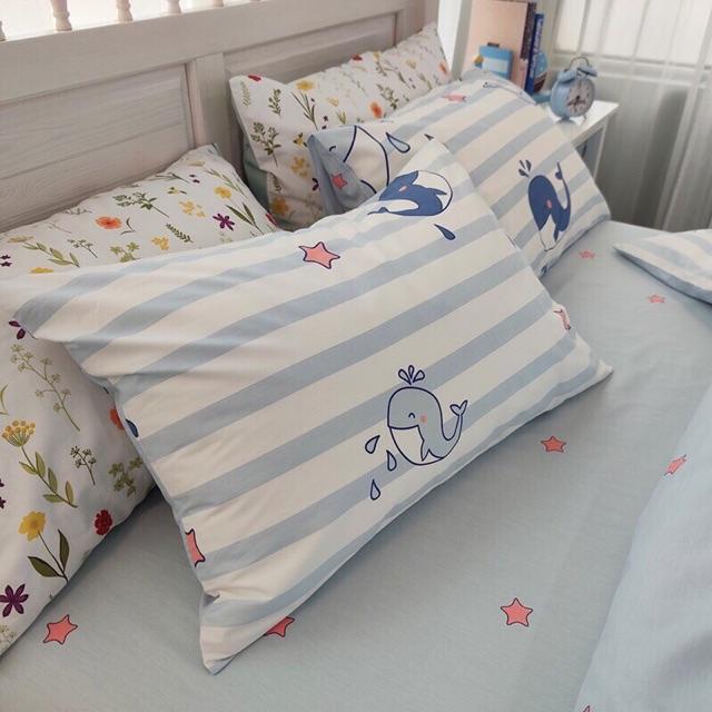 Cotton Korea cá heo xanh sọc - SET 4 MÓN - SỈ SLL