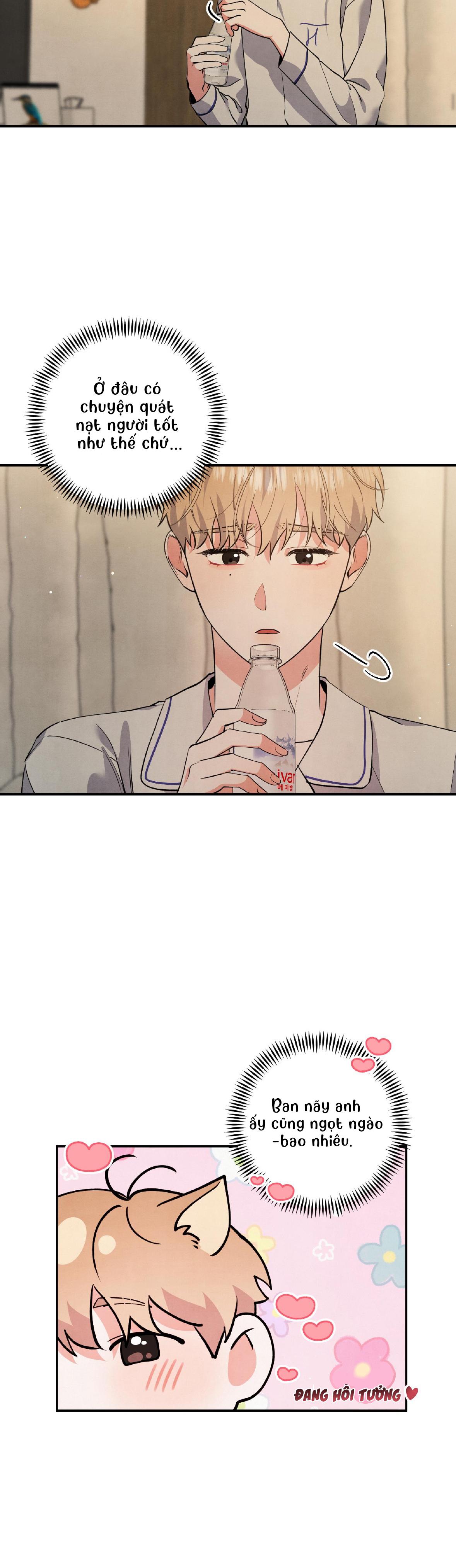 mối quan hệ ngu ngốc chapter 53 9