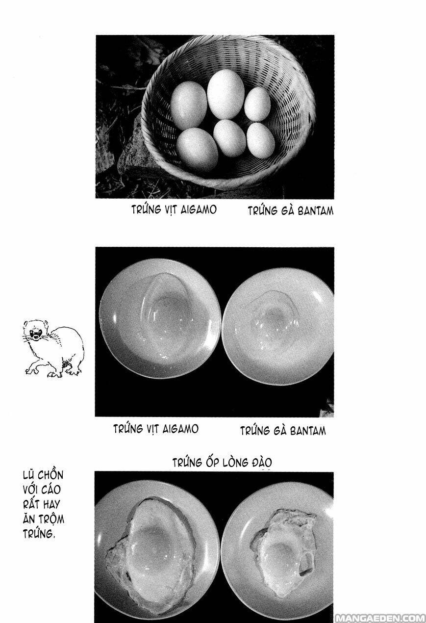 little forest chapter 26 9