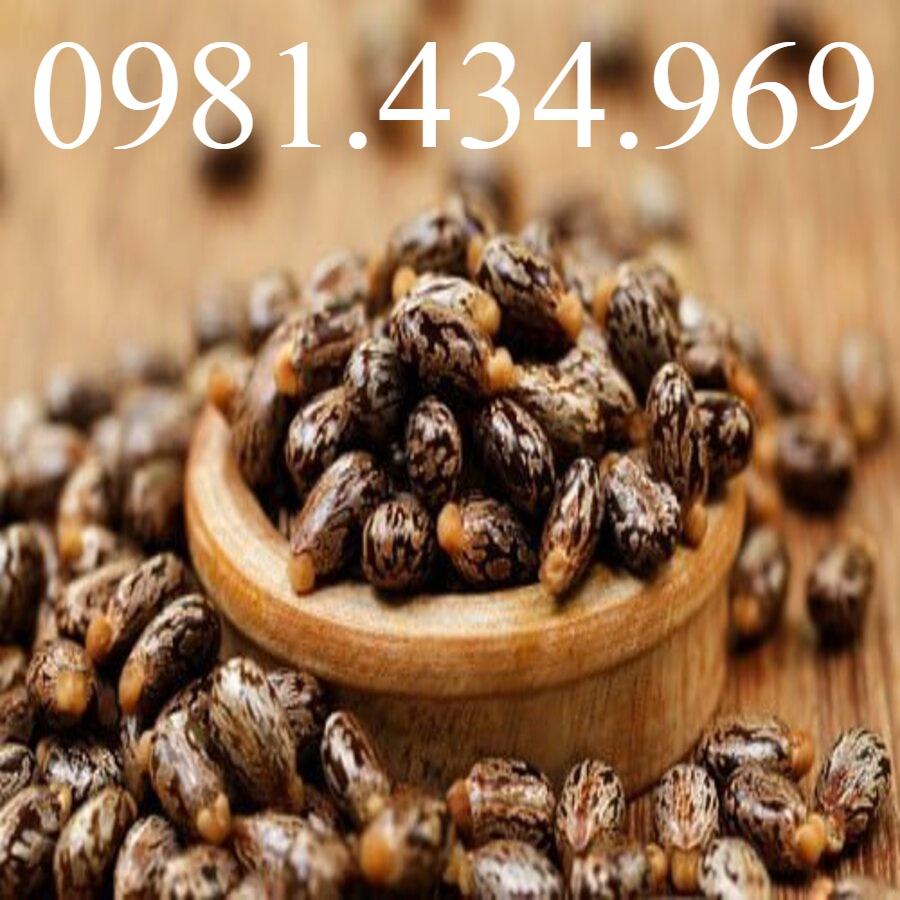 Hạt Thầu Dầu Khô 01KG Đắp Tr ị Tr ĩ Hay Loại 01