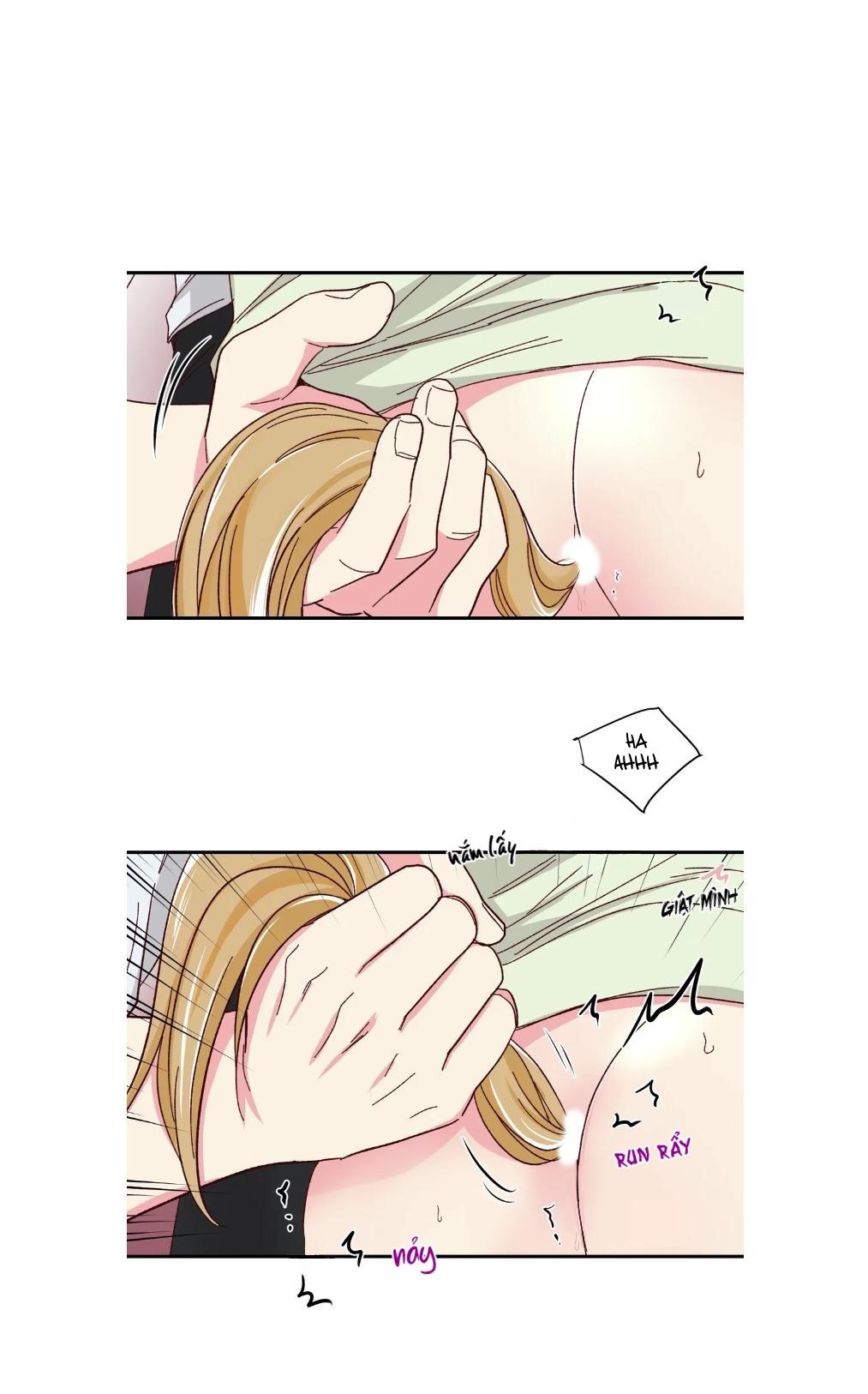 món tráng miệng của sếp tổng chapter 59 15