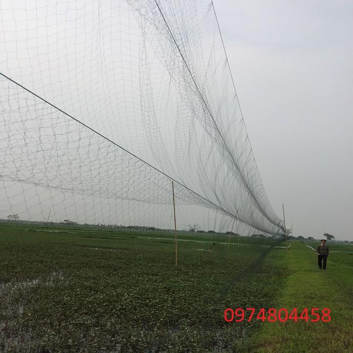 Lưới bẫy chim cu gà dài 50m cao 5m hàng cao cấp